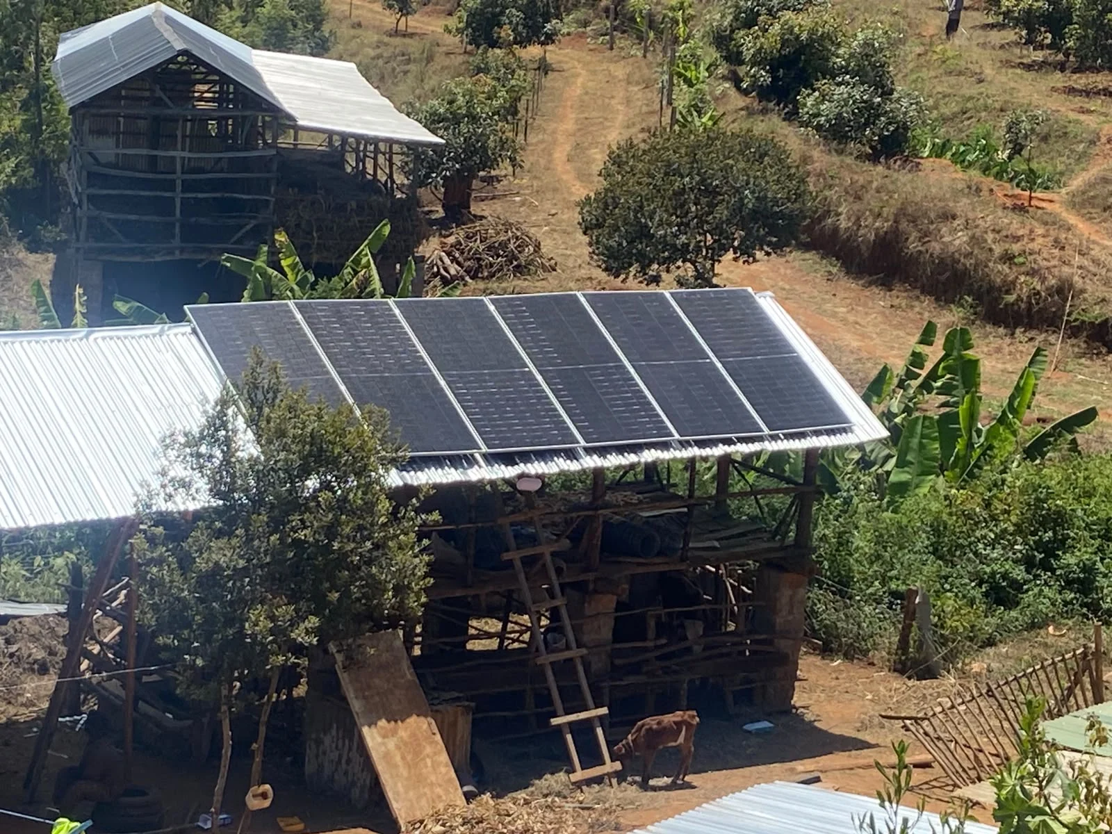 Solar panels installed on a rooftop beside a rural home